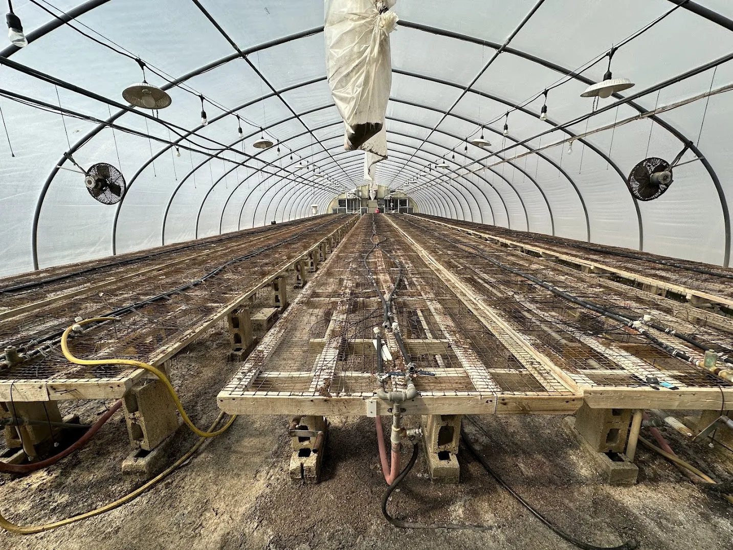 WHITE'S AUCTION LOT 1 - GH06 - X.S. Smith 30' x 96' Criterion Quonset Hoop Greenhouse, photo 3