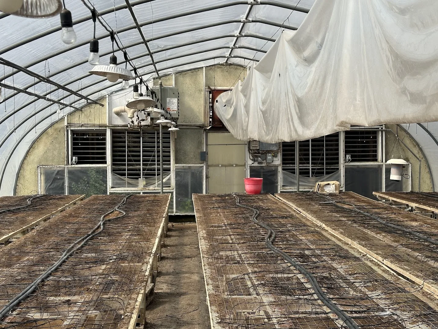 WHITE'S AUCTION LOT 1 - GH06 - X.S. Smith 30' x 96' Criterion Quonset Hoop Greenhouse, photo 5