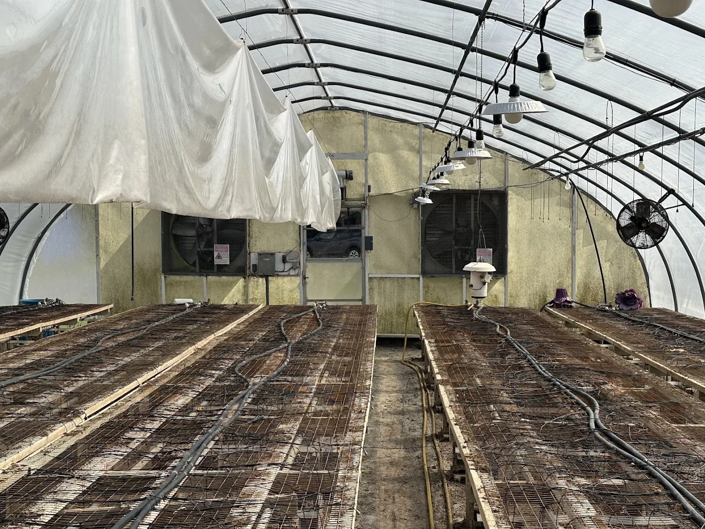 WHITE'S AUCTION LOT 1 - GH06 - X.S. Smith 30' x 96' Criterion Quonset Hoop Greenhouse, photo 6