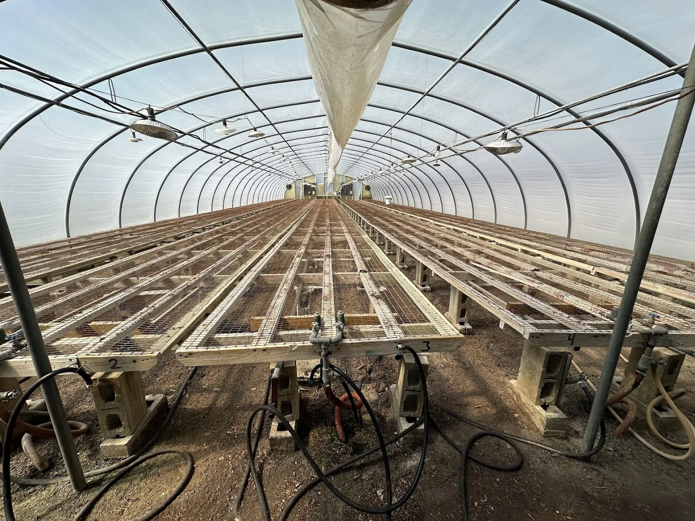WHITE'S AUCTION LOT 10 - GH15 - X.S. Smith 30' x 96' Criterion Quonset Hoop Greenhouse, photo 3