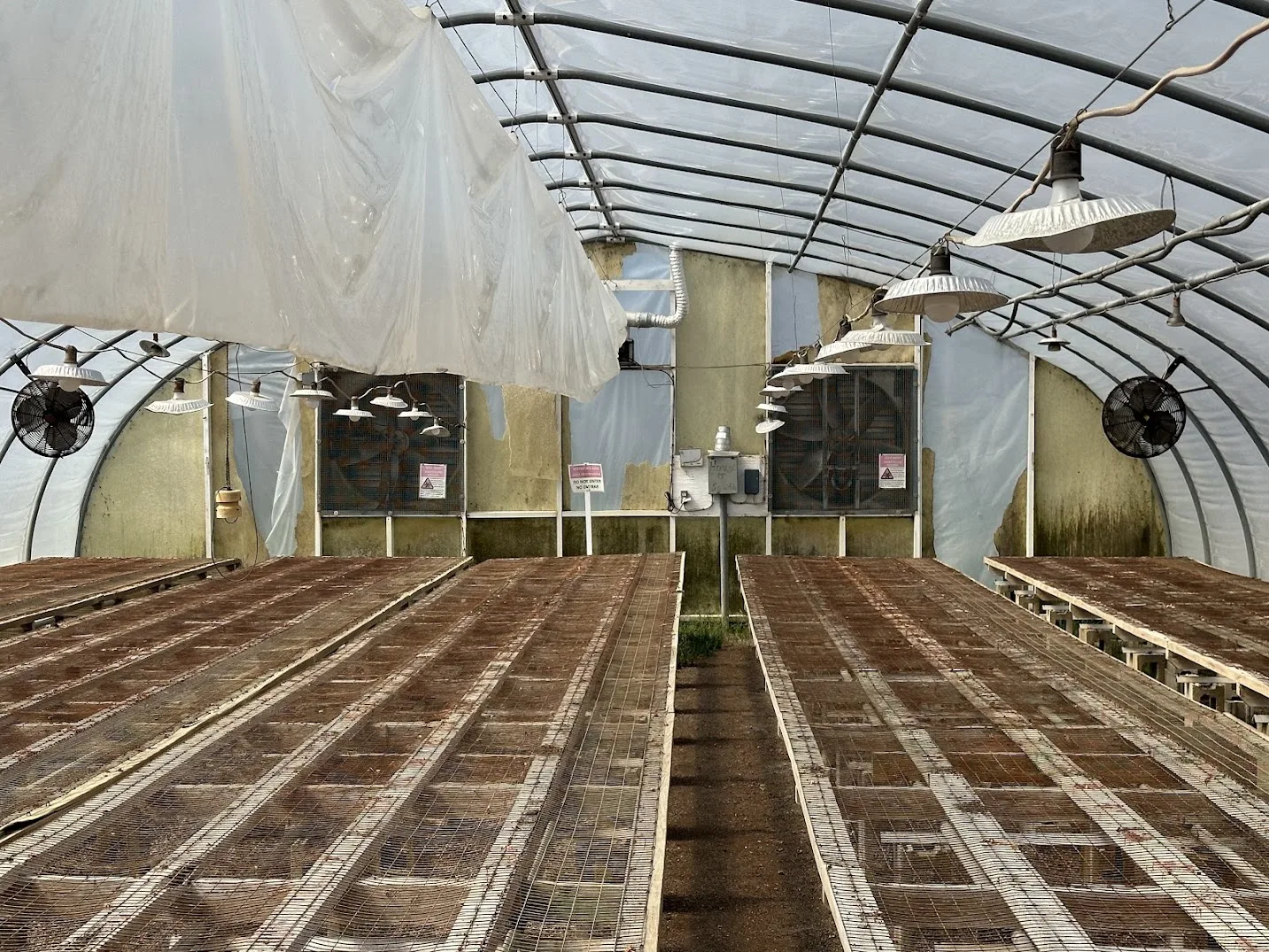 WHITE'S AUCTION LOT 10 - GH15 - X.S. Smith 30' x 96' Criterion Quonset Hoop Greenhouse, photo 4