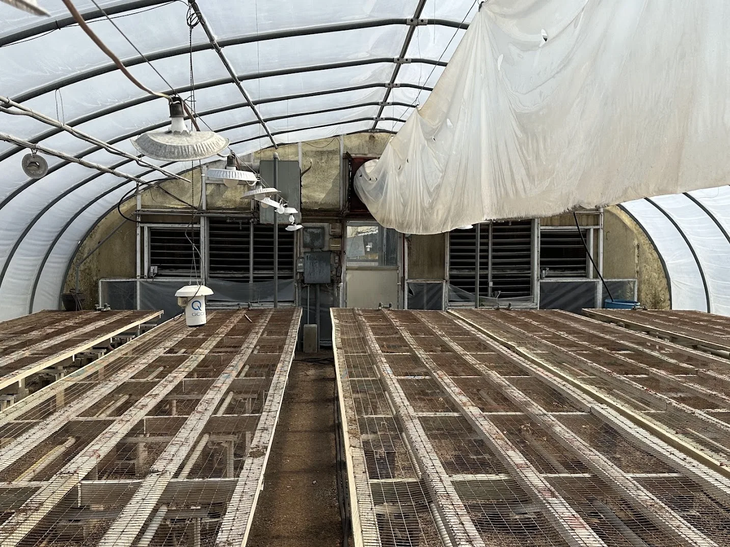 WHITE'S AUCTION LOT 10 - GH15 - X.S. Smith 30' x 96' Criterion Quonset Hoop Greenhouse, photo 5