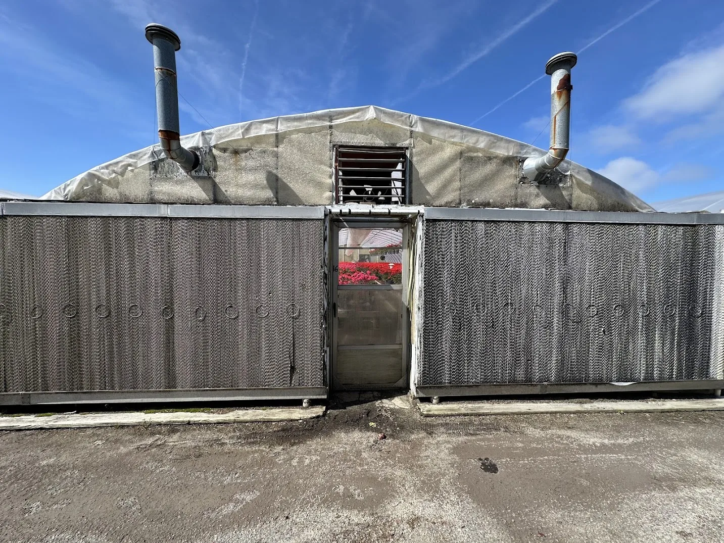 WHITE'S AUCTION LOT 11 - GH16 - X.S. Smith 30' x 96' Criterion Quonset Hoop Greenhouse, photo 3