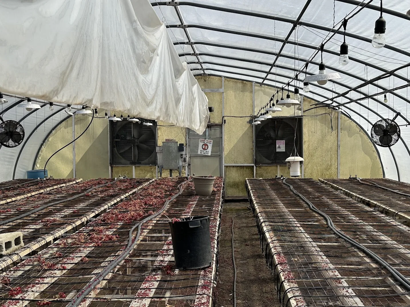 WHITE'S AUCTION LOT 12 - GH17 - X.S. Smith 30' x 96' Criterion Quonset Hoop Greenhouse, photo 3