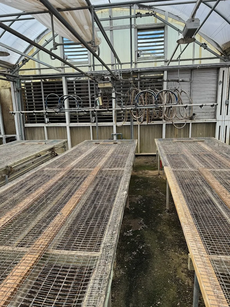 WHITES AUCTION LOT 124 - 21' Double Rail Watering Boom System with GTI Common Sense Irrigation Controller in GH23 Starting Area Boom 1, photo 3