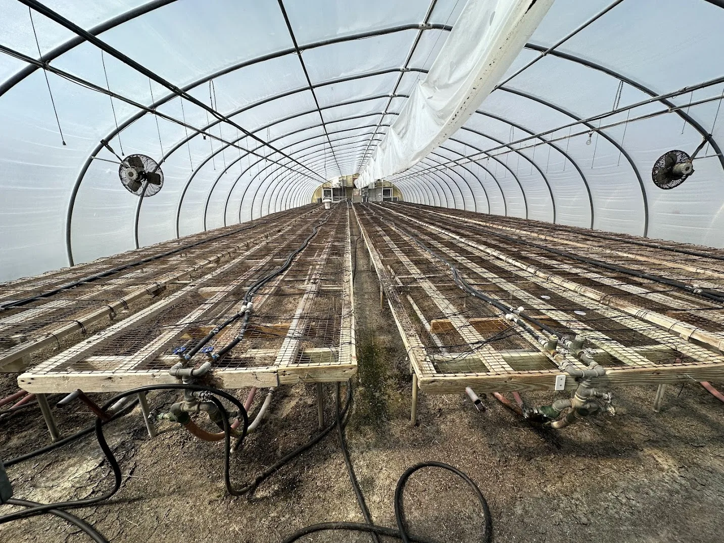 WHITE'S AUCTION LOT 13 - GH18 - X.S. Smith 30' x 96' Criterion Quonset Hoop Greenhouse, photo 3