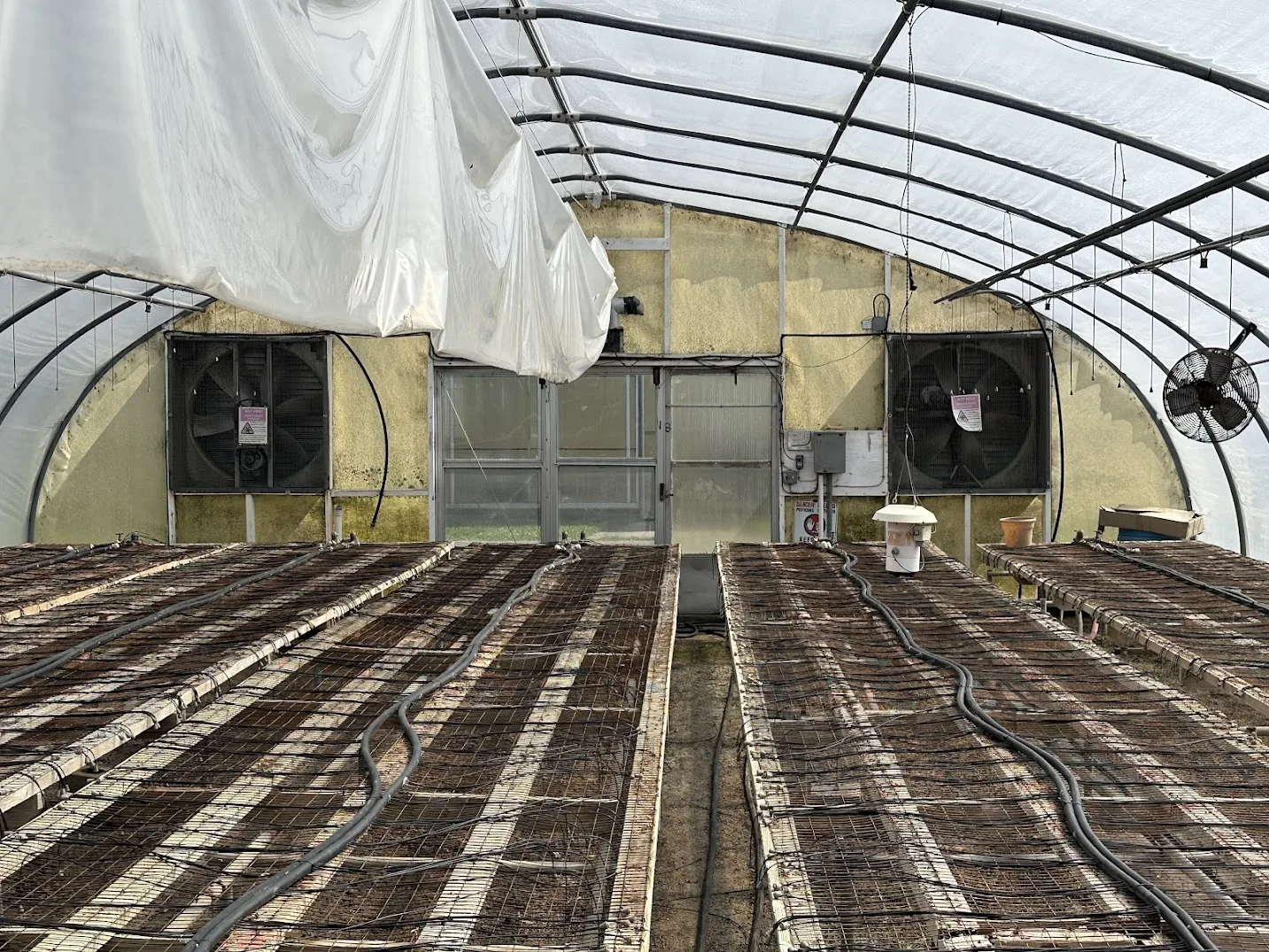 WHITE'S AUCTION LOT 13 - GH18 - X.S. Smith 30' x 96' Criterion Quonset Hoop Greenhouse, photo 4
