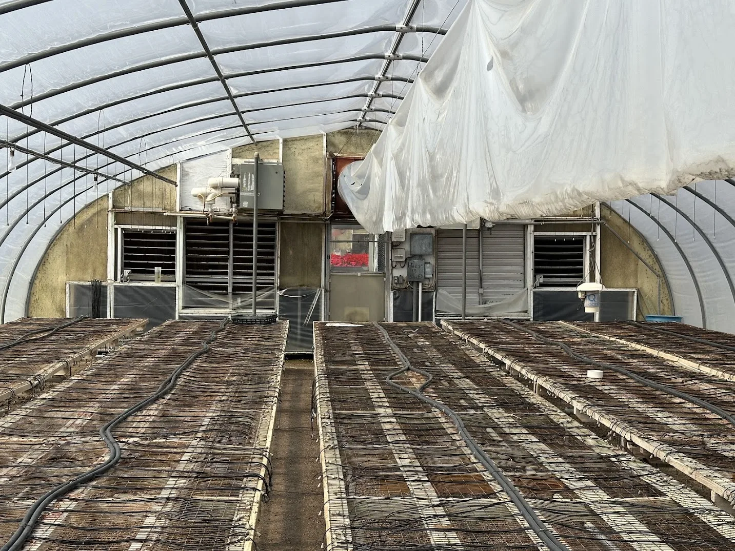 WHITE'S AUCTION LOT 13 - GH18 - X.S. Smith 30' x 96' Criterion Quonset Hoop Greenhouse, photo 5