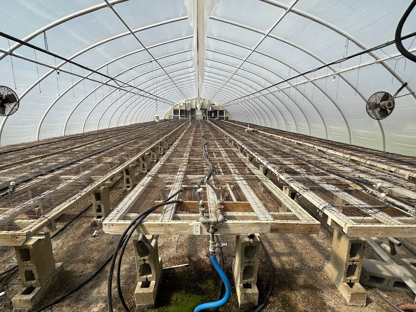 WHITE'S AUCTION LOT 14 - GH20 - X.S. Smith 30' x 96' Criterion Quonset Hoop Greenhouse, photo 3