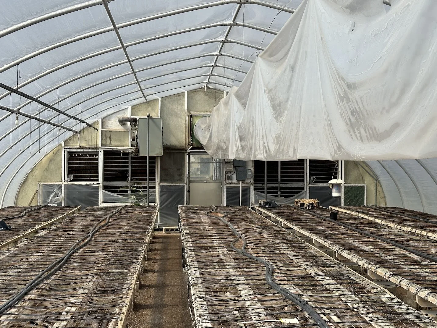 WHITE'S AUCTION LOT 14 - GH20 - X.S. Smith 30' x 96' Criterion Quonset Hoop Greenhouse, photo 4