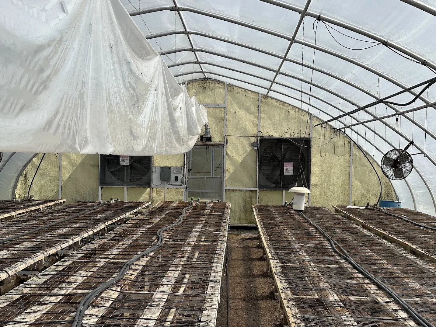 WHITE'S AUCTION LOT 14 - GH20 - X.S. Smith 30' x 96' Criterion Quonset Hoop Greenhouse, photo 5
