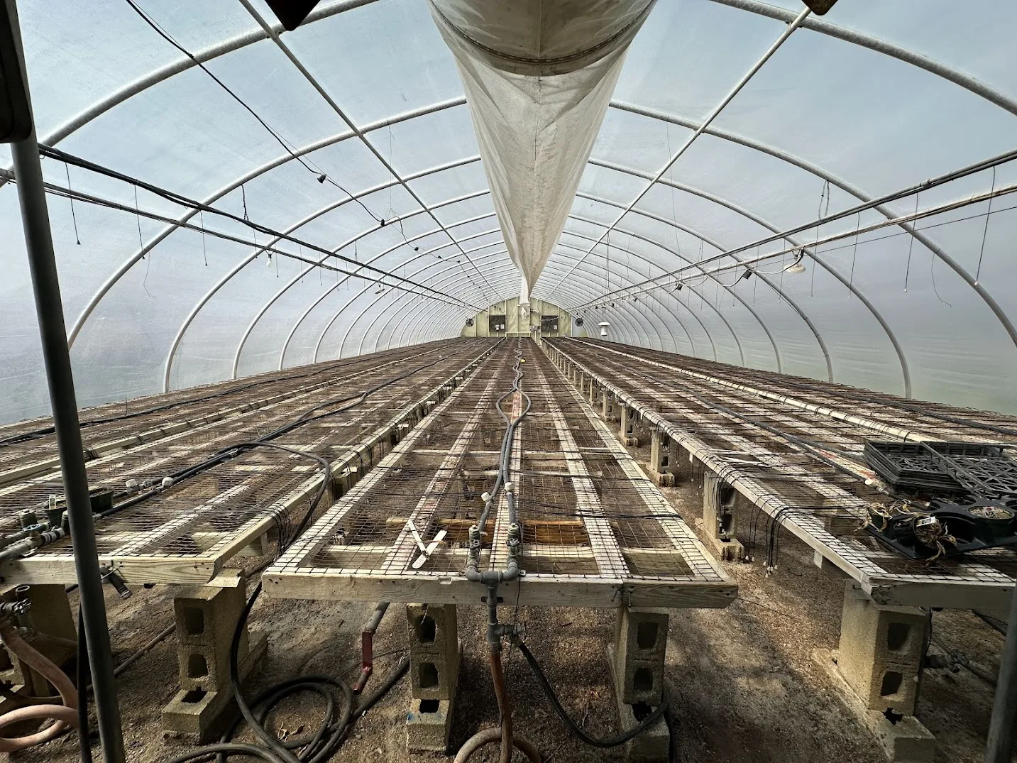 WHITE'S AUCTION LOT 15 - GH21 - X.S. Smith 30' x 96' Criterion Quonset Hoop Greenhouse, photo 3