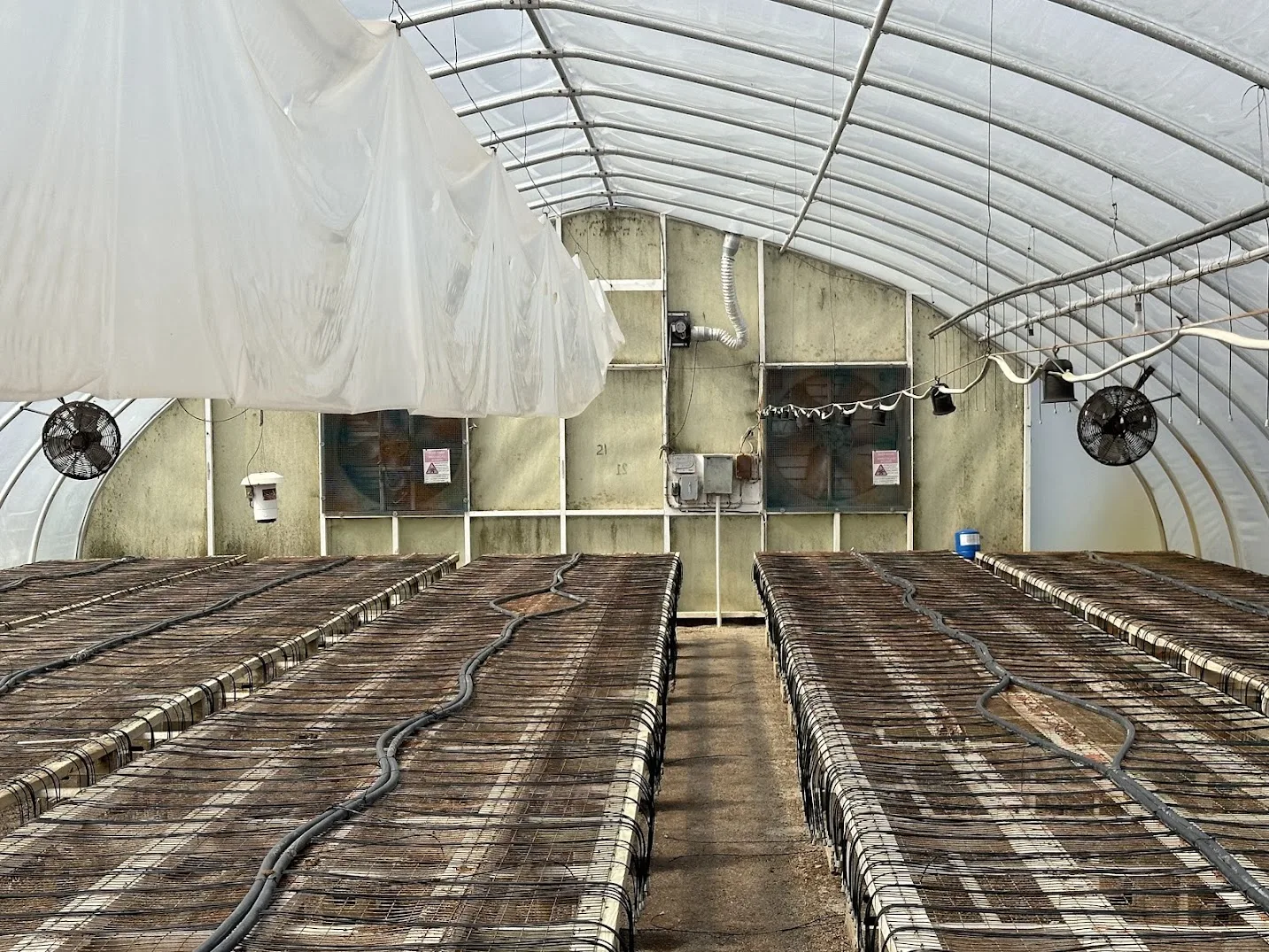WHITE'S AUCTION LOT 15 - GH21 - X.S. Smith 30' x 96' Criterion Quonset Hoop Greenhouse, photo 4