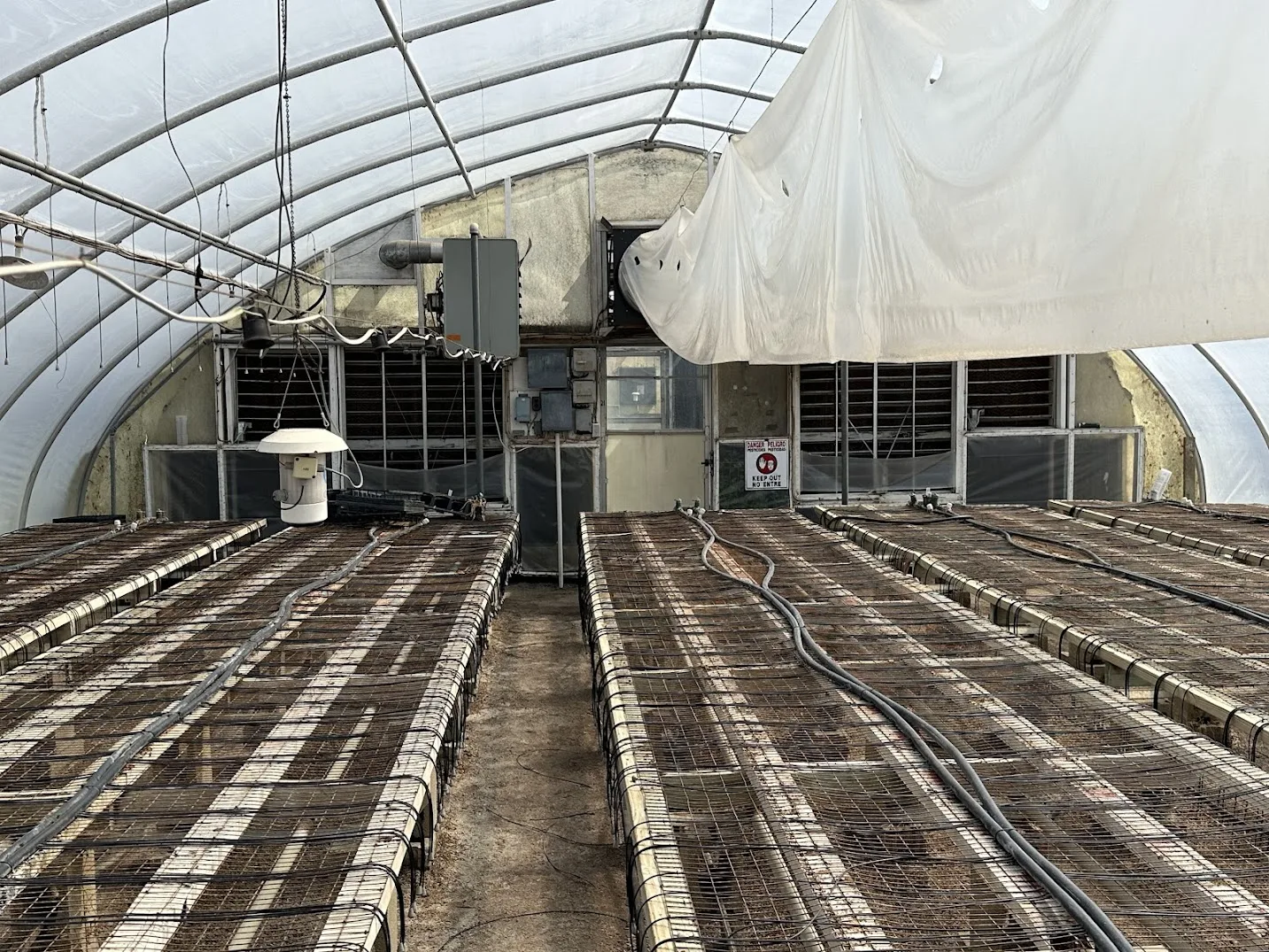 WHITE'S AUCTION LOT 15 - GH21 - X.S. Smith 30' x 96' Criterion Quonset Hoop Greenhouse, photo 5