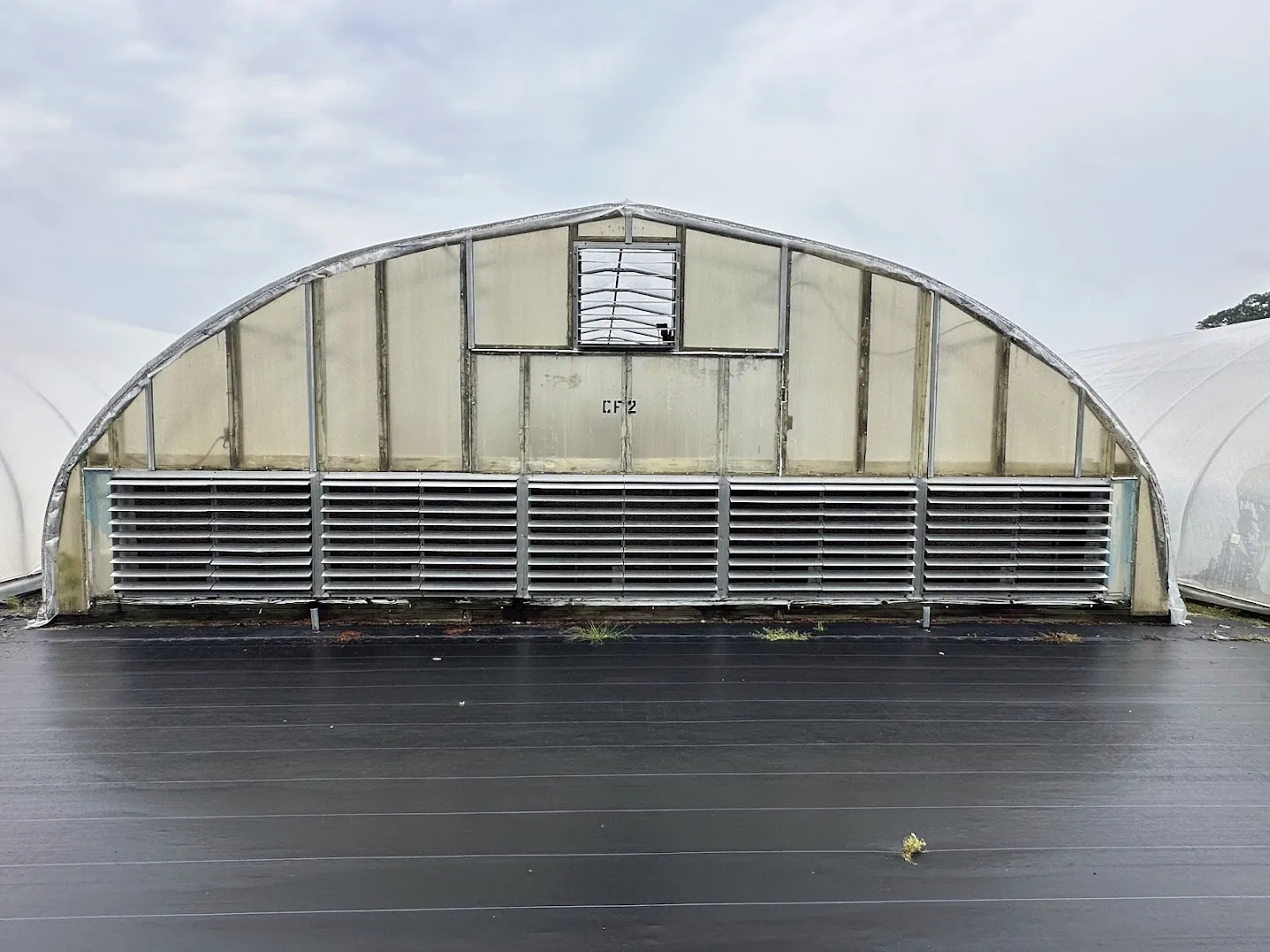 WHITE'S AUCTION LOT 17 - CF02 - X.S. Smith 30' x 96' Criterion Quonset Hoop Cold Frame Greenhouse, photo 2