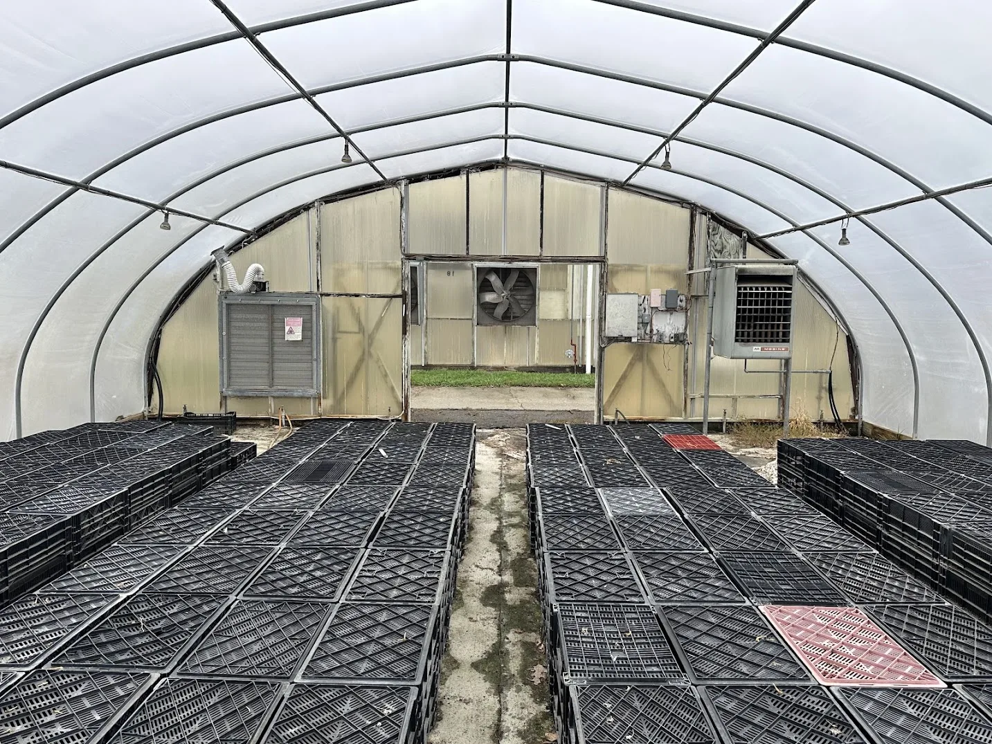 WHITE'S AUCTION LOT 17 - CF02 - X.S. Smith 30' x 96' Criterion Quonset Hoop Cold Frame Greenhouse, photo 4