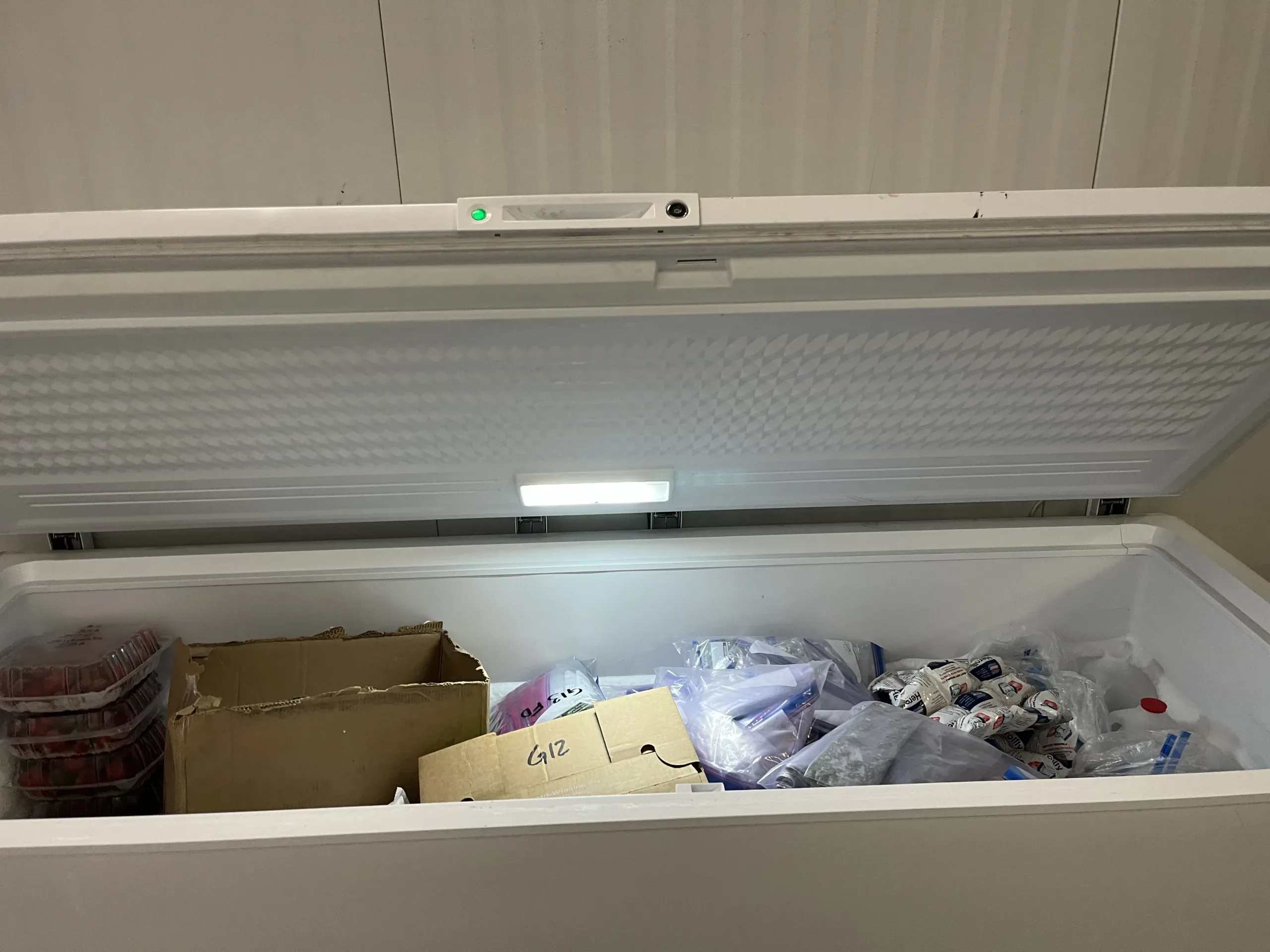AEROFARMS LOT 17 - Spacious Storage Solution: Electrolux Frigidaire FFFC25M4TW Chest Freezer, photo 3
