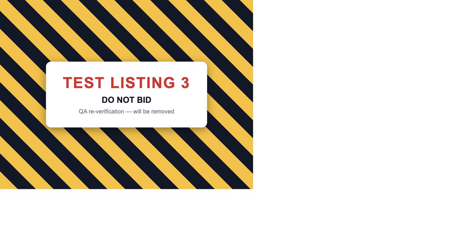 TEST LISTING 3 - DO NOT BID (QA re-check)