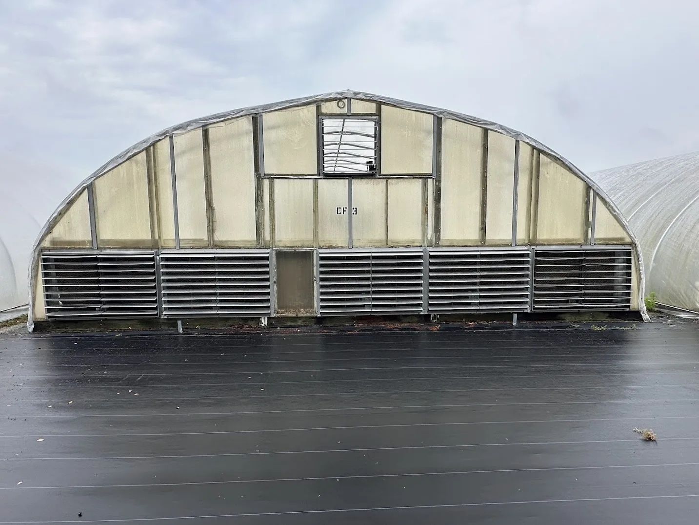WHITE'S AUCTION LOT 18 - CF03 - X.S. Smith 30' x 96' Criterion Quonset Hoop Cold Frame Greenhouse, photo 2