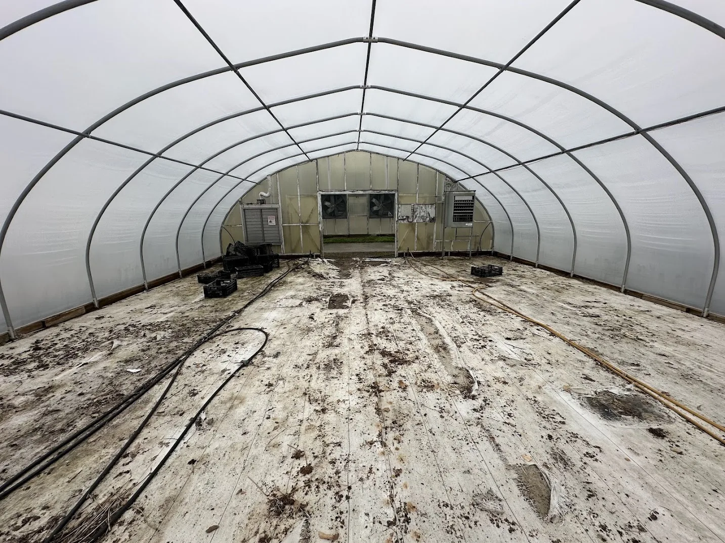 WHITE'S AUCTION LOT 18 - CF03 - X.S. Smith 30' x 96' Criterion Quonset Hoop Cold Frame Greenhouse, photo 3