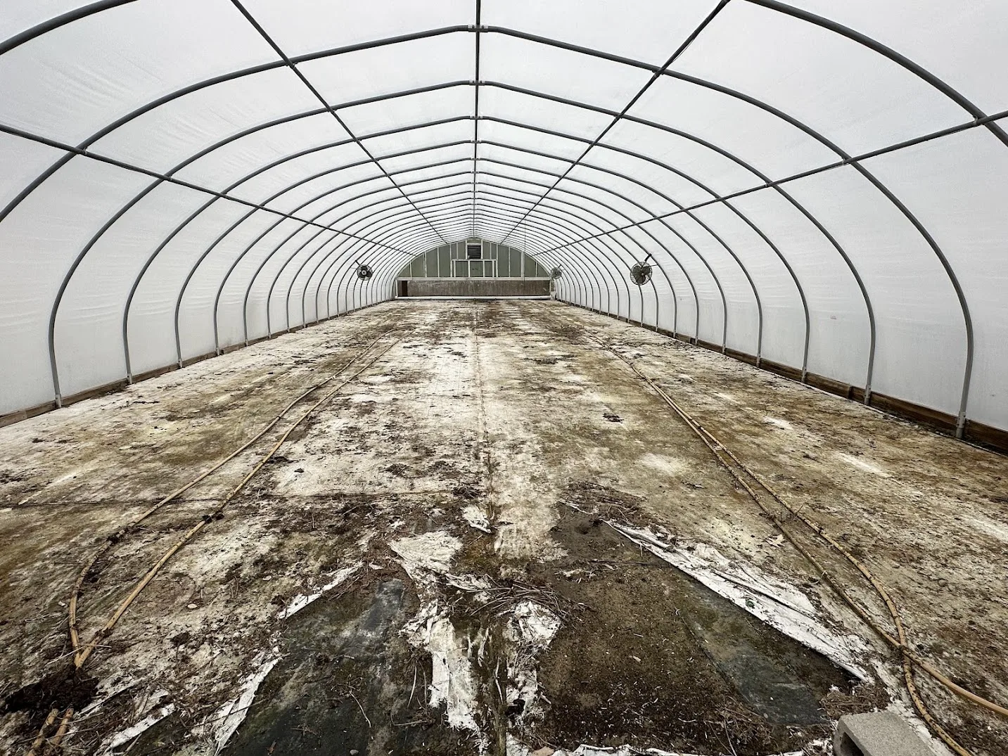 WHITE'S AUCTION LOT 18 - CF03 - X.S. Smith 30' x 96' Criterion Quonset Hoop Cold Frame Greenhouse, photo 4