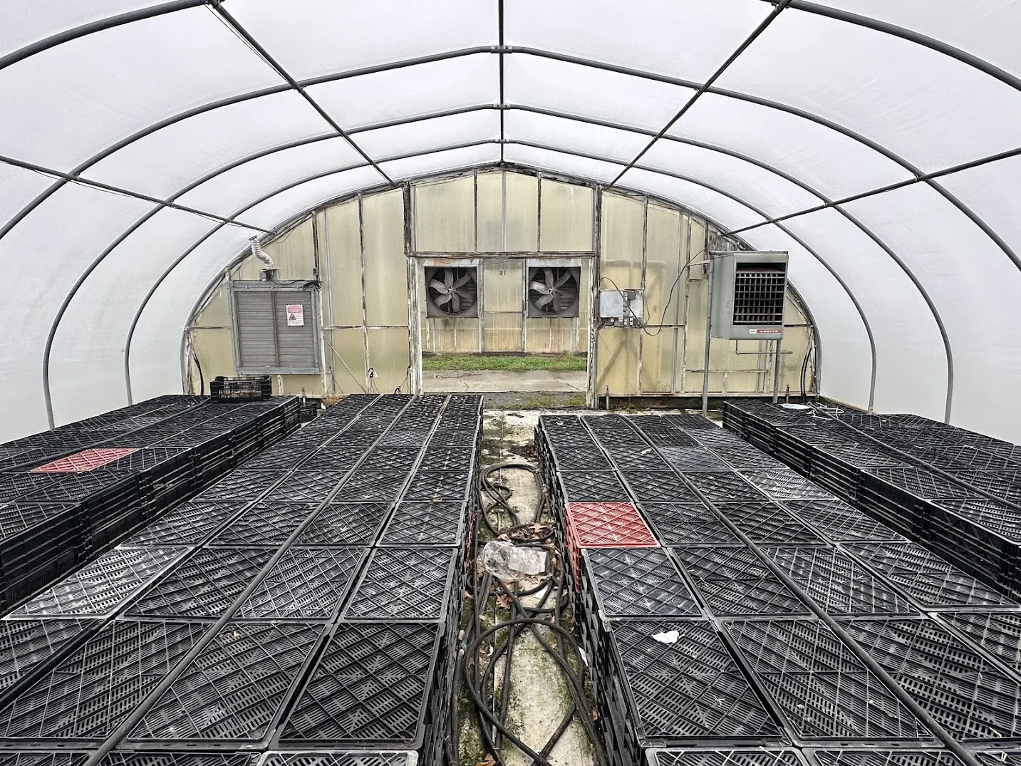 WHITE'S AUCTION LOT 19 - CF04 - X.S. Smith 30' x 96' Criterion Quonset Hoop Cold Frame Greenhouse, photo 3