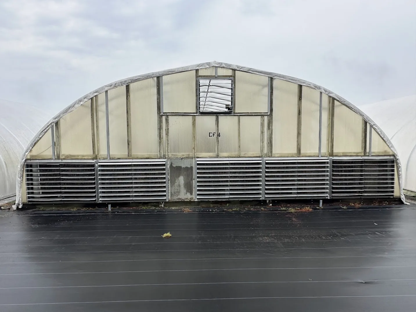 WHITE'S AUCTION LOT 19 - CF04 - X.S. Smith 30' x 96' Criterion Quonset Hoop Cold Frame Greenhouse, photo 2