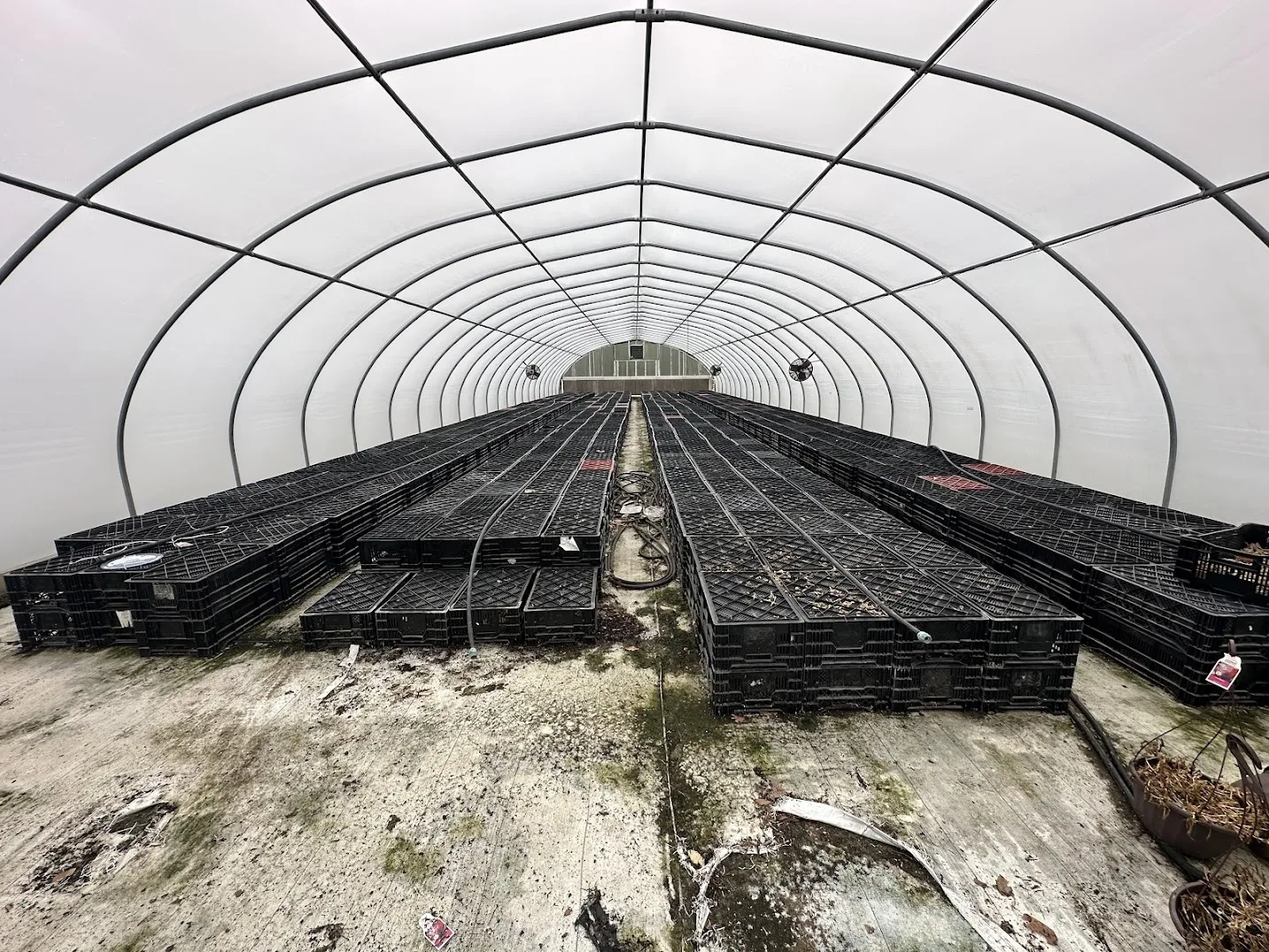 WHITE'S AUCTION LOT 19 - CF04 - X.S. Smith 30' x 96' Criterion Quonset Hoop Cold Frame Greenhouse, photo 4