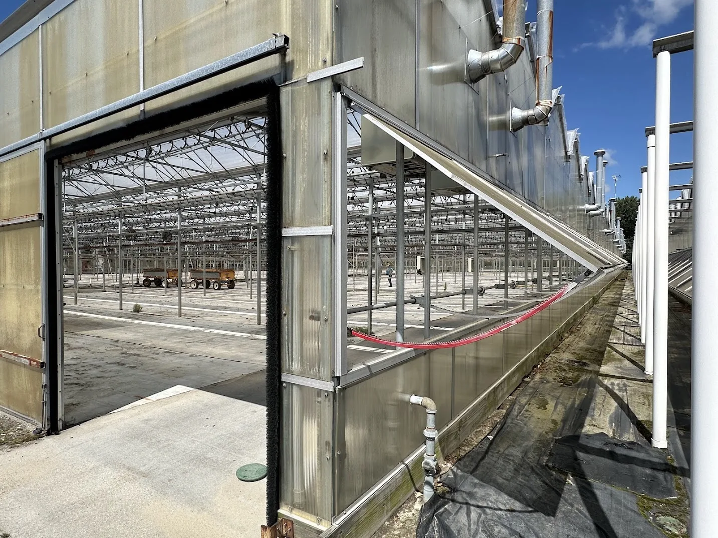 WHITE'S AUCTION LOT 198 - Bays 12-15 of Greenhouse #27, photo 2
