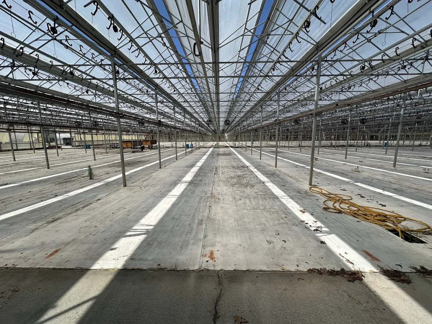WHITE'S AUCTION LOT 198 - Bays 12-15 of Greenhouse #27, photo 3