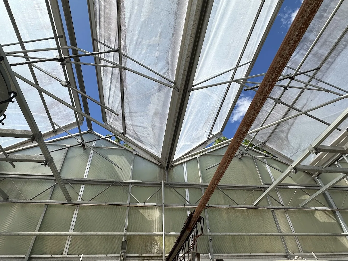 WHITE'S AUCTION LOT 198 - Bays 12-15 of Greenhouse #27, photo 4