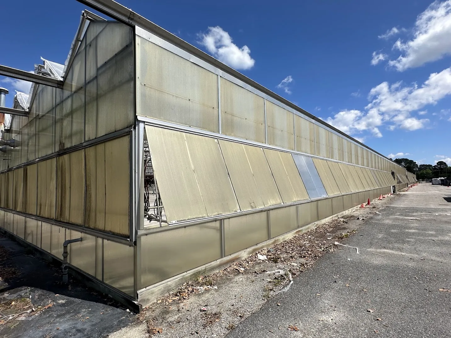 WHITE'S AUCTION LOT 198 - Bays 12-15 of Greenhouse #27, photo 5