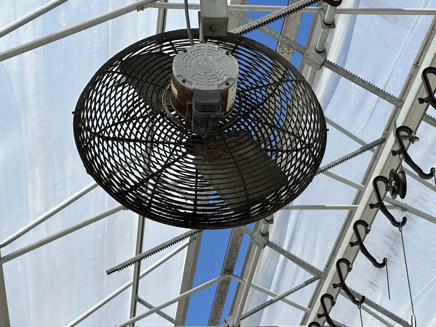WHITE'S AUCTION LOT 198 - Bays 12-15 of Greenhouse #27, photo 6