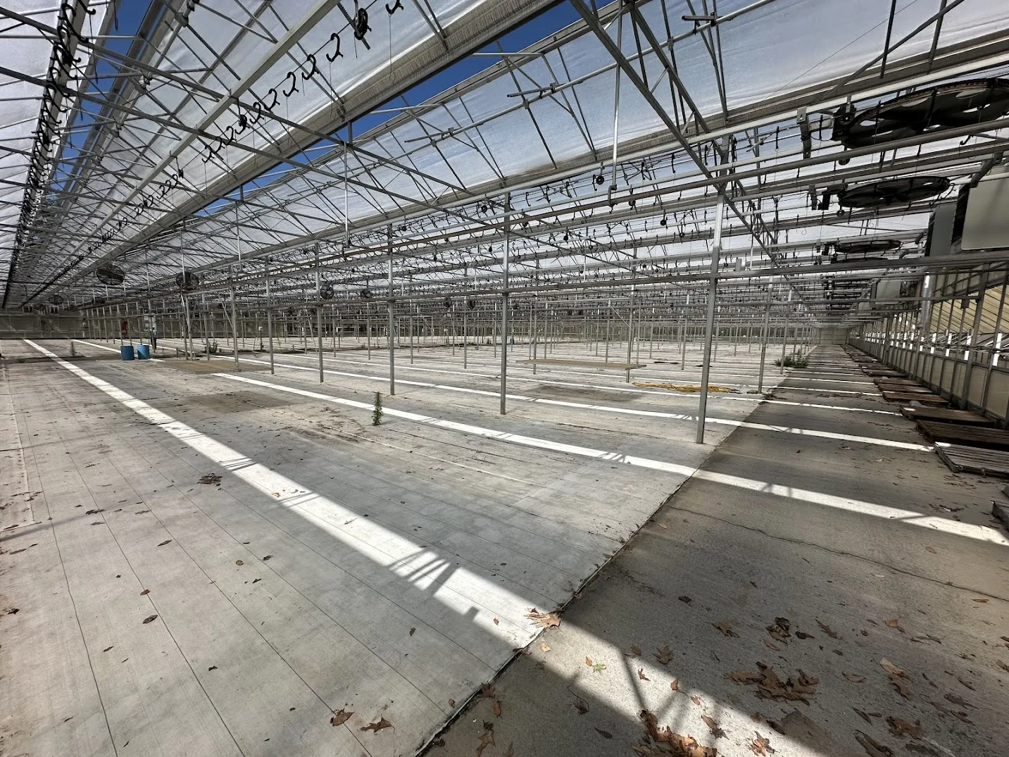 WHITE'S AUCTION LOT 198 - Bays 12-15 of Greenhouse #27, photo 8