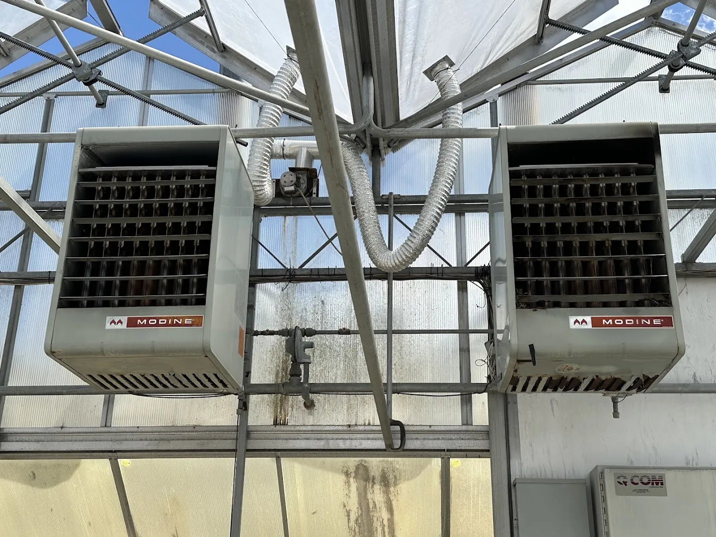 WHITE'S AUCTION LOT 198 - Bays 12-15 of Greenhouse #27, photo 9