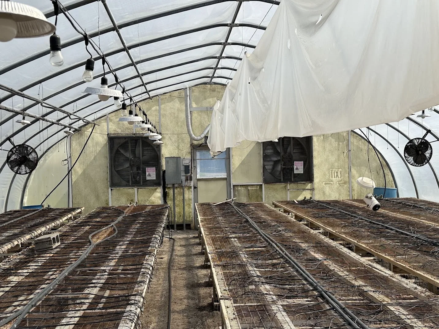 WHITE'S AUCTION LOT 2 - GH07 - X.S. Smith 30' x 96' Criterion Quonset Hoop Greenhouse, photo 3