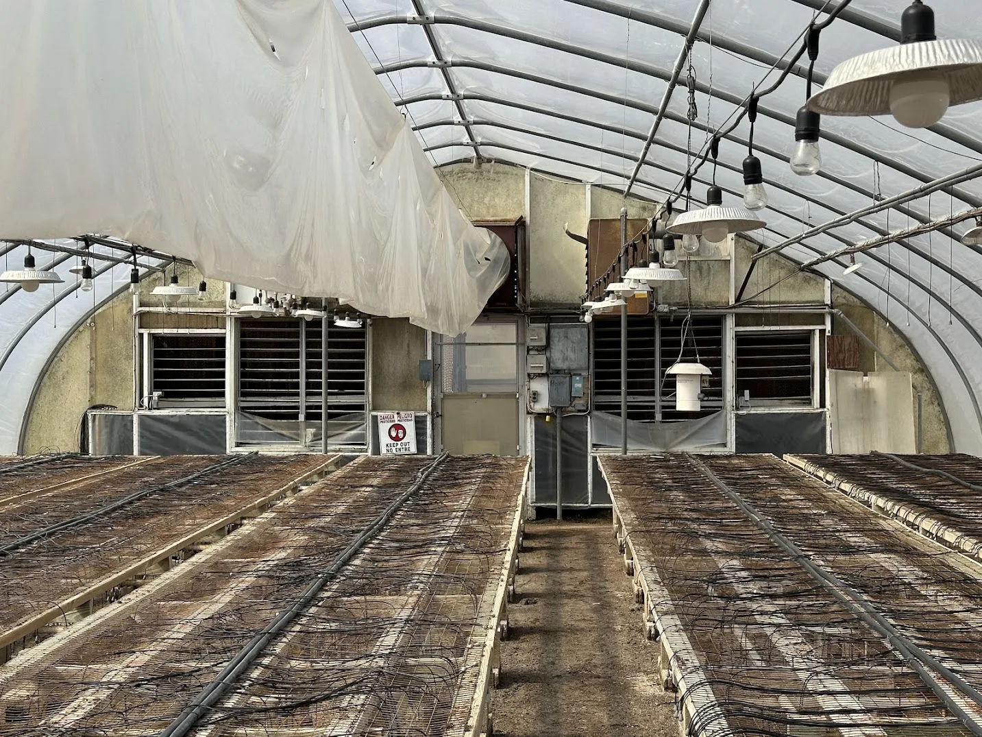 WHITE'S AUCTION LOT 2 - GH07 - X.S. Smith 30' x 96' Criterion Quonset Hoop Greenhouse, photo 4