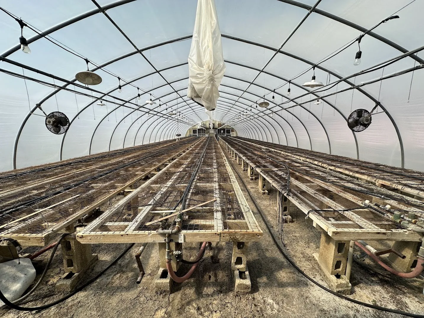 WHITE'S AUCTION LOT 2 - GH07 - X.S. Smith 30' x 96' Criterion Quonset Hoop Greenhouse, photo 5