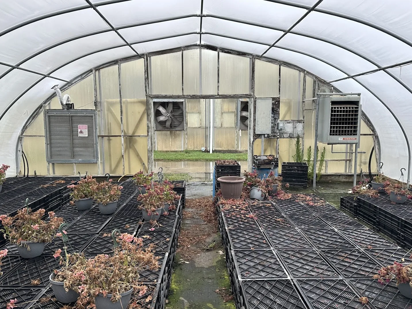 WHITE'S AUCTION LOT 20 - CF05 - X.S. Smith 30' x 96' Criterion Quonset Hoop Cold Frame Greenhouse, photo 3