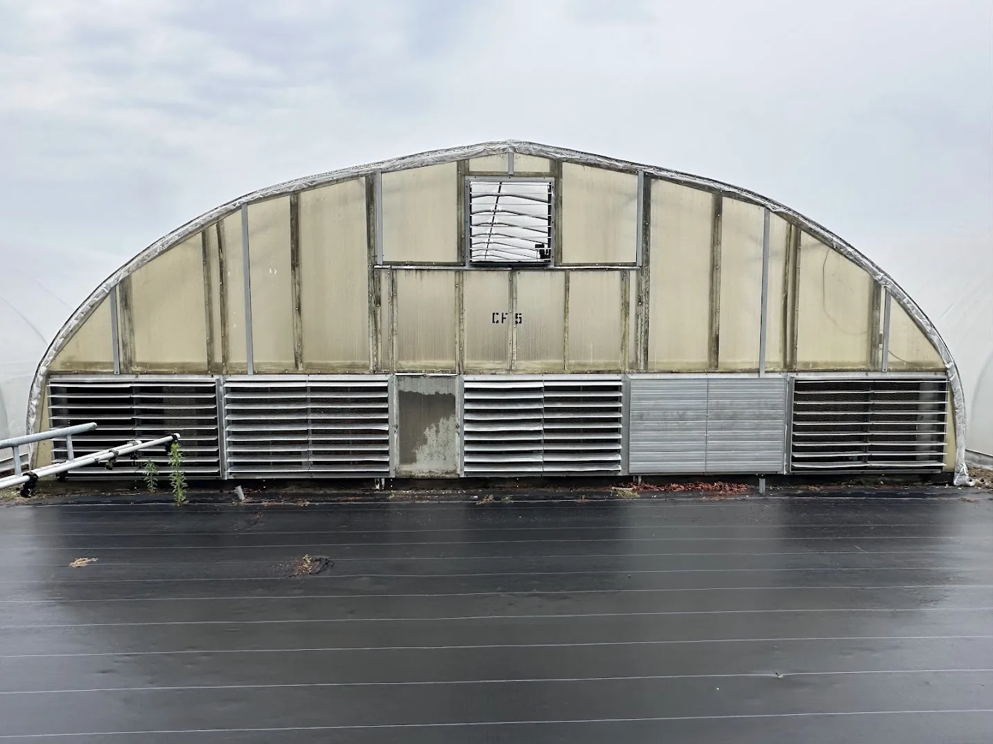 WHITE'S AUCTION LOT 20 - CF05 - X.S. Smith 30' x 96' Criterion Quonset Hoop Cold Frame Greenhouse, photo 2