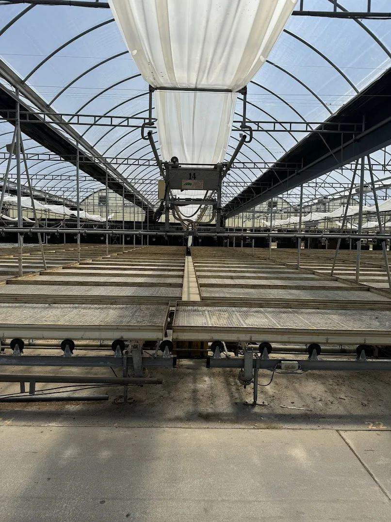WHITE'S AUCTION LOT 209 - Bays 7-11 of Greenhouse #25 - 20,160 sq. ft. with Double-Poly Roof, photo 2