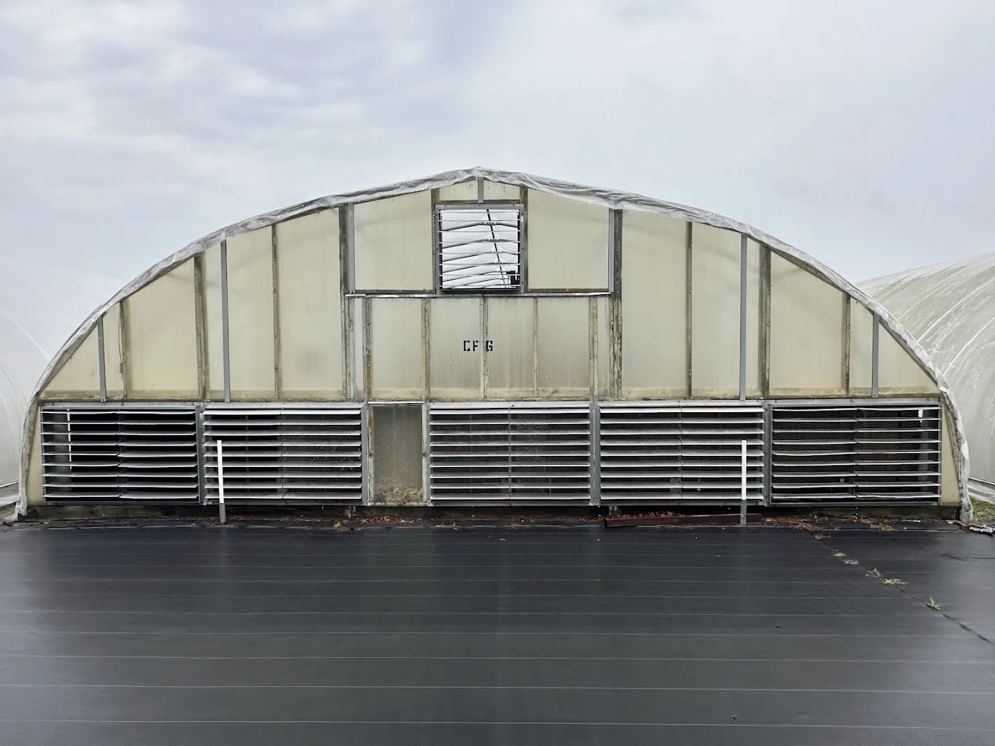 WHITE'S AUCTION LOT 21 - CF06 - X.S. Smith 30' x 96' Criterion Quonset Hoop Cold Frame Greenhouse, photo 2