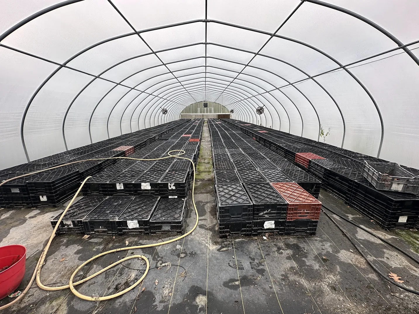 WHITE'S AUCTION LOT 21 - CF06 - X.S. Smith 30' x 96' Criterion Quonset Hoop Cold Frame Greenhouse, photo 3