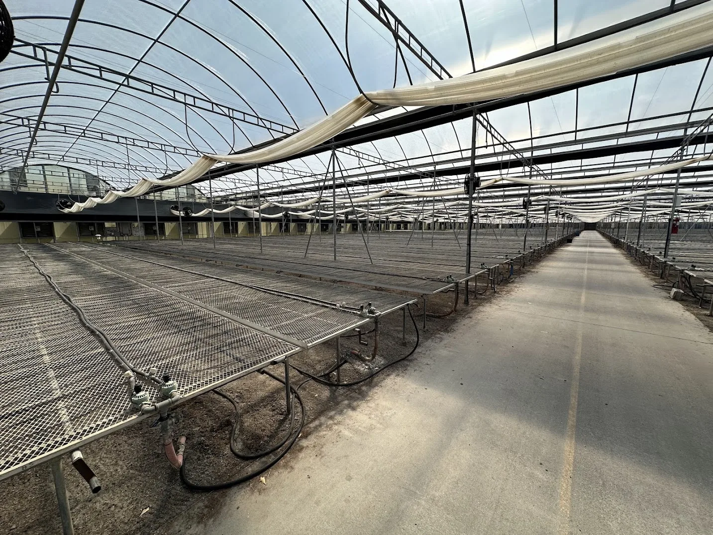 WHITE'S AUCTION LOT 210 - Bays 13-17 of Greenhouse #25 - 20,160 sq. ft. with Double-Poly Roof, photo 2