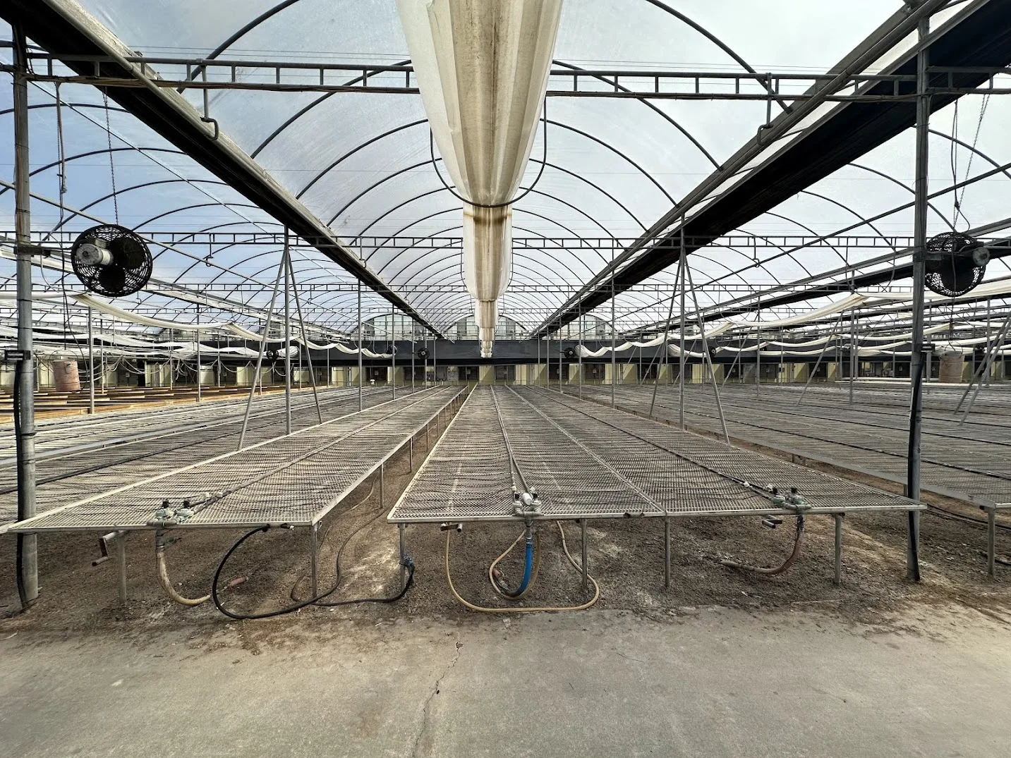 WHITE'S AUCTION LOT 210 - Bays 13-17 of Greenhouse #25 - 20,160 sq. ft. with Double-Poly Roof, photo 3