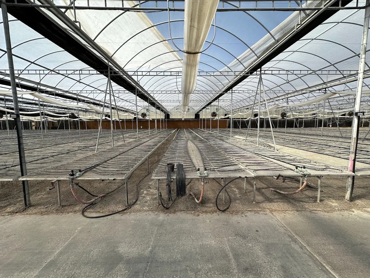 WHITE'S AUCTION LOT 210 - Bays 13-17 of Greenhouse #25 - 20,160 sq. ft. with Double-Poly Roof, photo 4