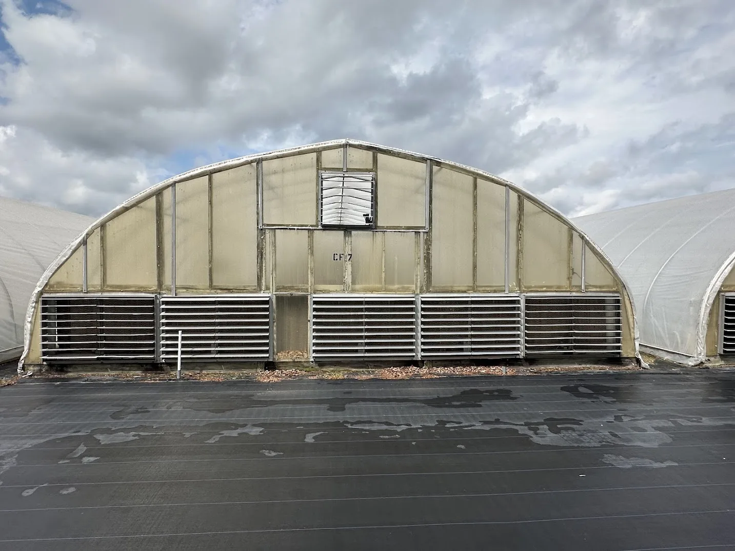 WHITE'S AUCTION LOT 22 - CF07 - X.S. Smith 30' x 96' Criterion Quonset Hoop Cold Frame Greenhouse, photo 2