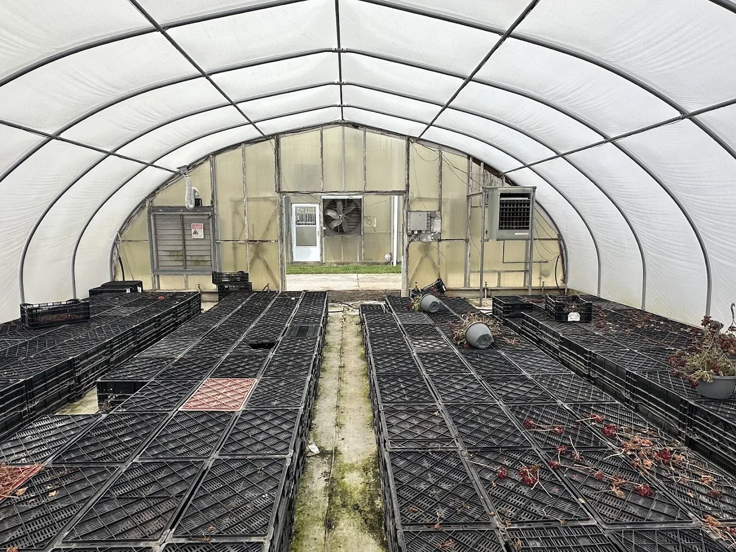 WHITE'S AUCTION LOT 22 - CF07 - X.S. Smith 30' x 96' Criterion Quonset Hoop Cold Frame Greenhouse, photo 3