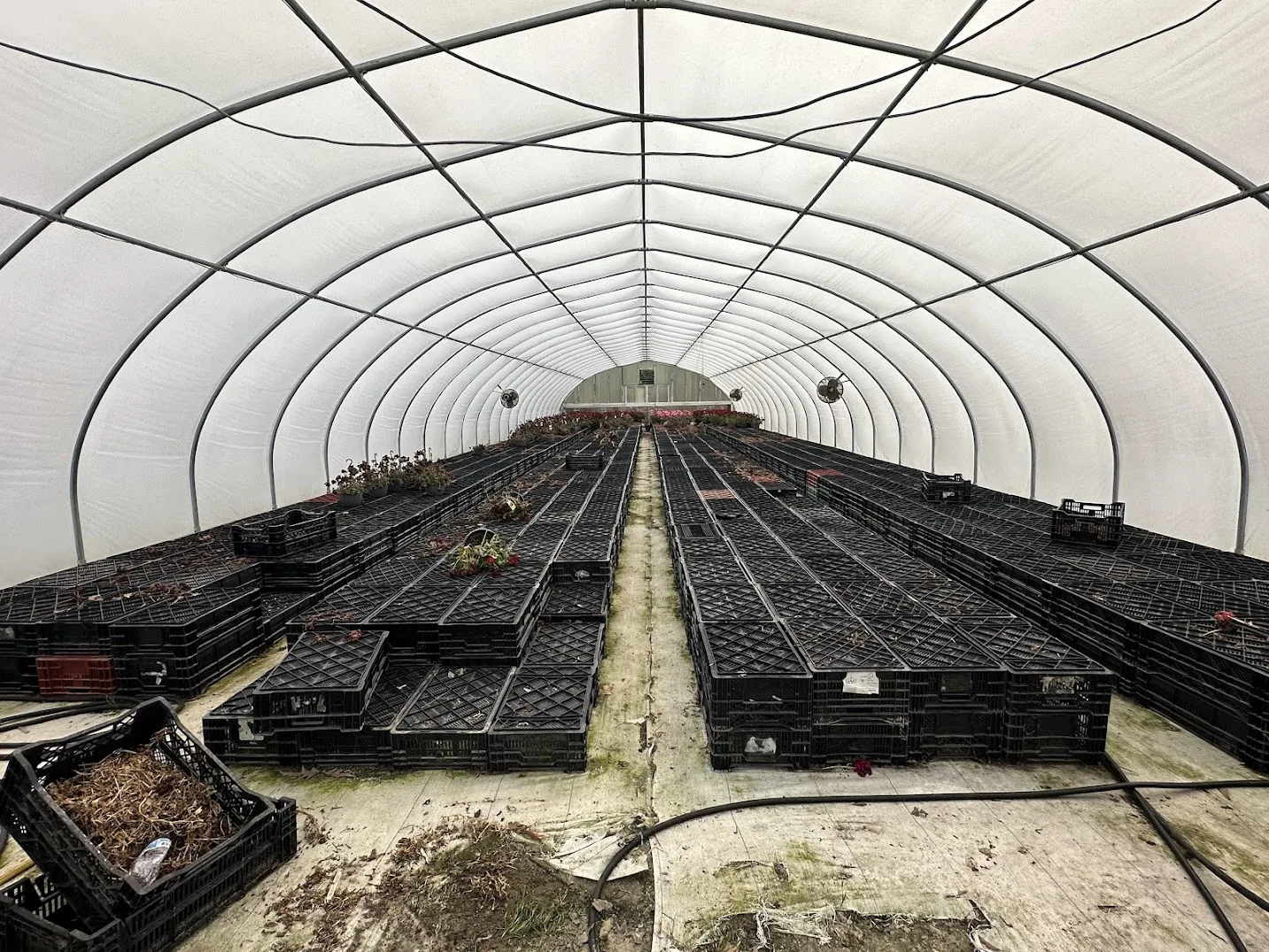 WHITE'S AUCTION LOT 22 - CF07 - X.S. Smith 30' x 96' Criterion Quonset Hoop Cold Frame Greenhouse, photo 4