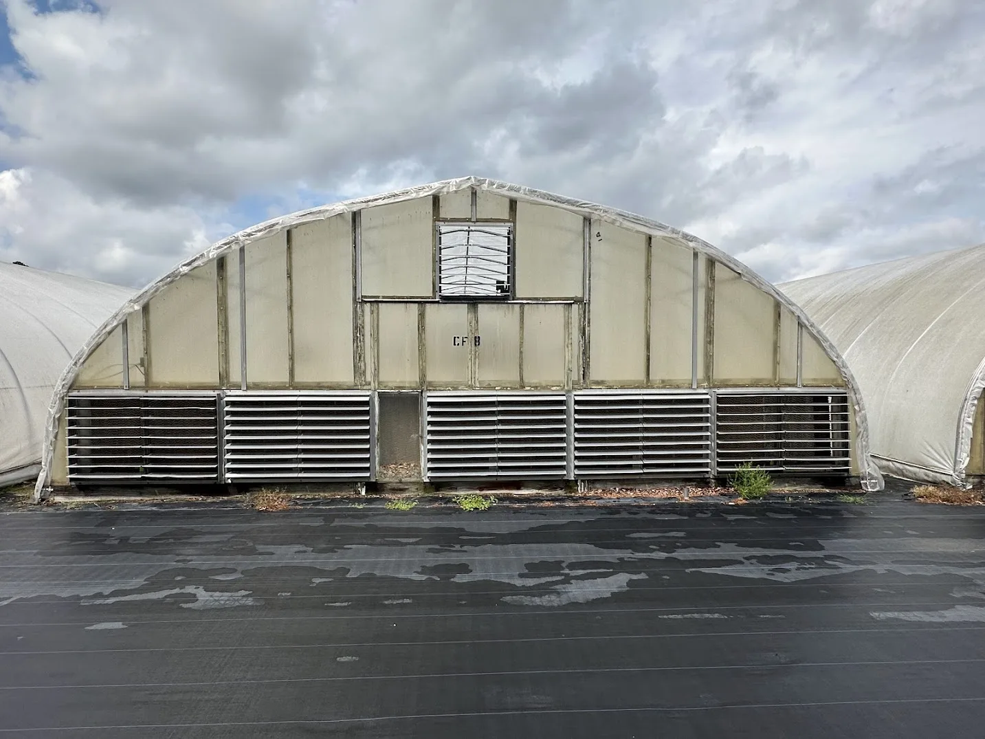 WHITE'S AUCTION LOT 23 - CF08 - X.S. Smith 30' x 96' Criterion Quonset Hoop Cold Frame Greenhouse, photo 2